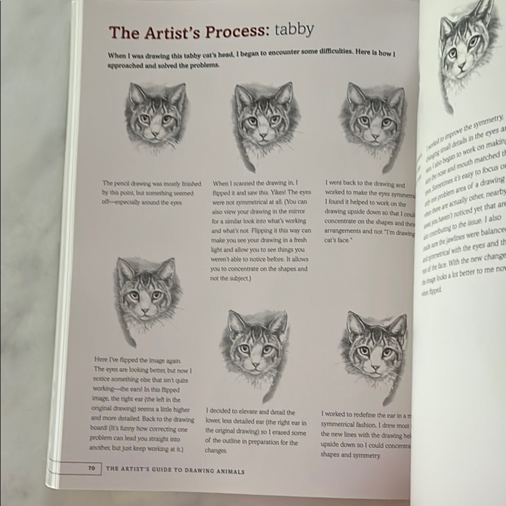 The Artist's Guide to Drawing Animals by J. C. Amberlyn - Picture 11 of 16